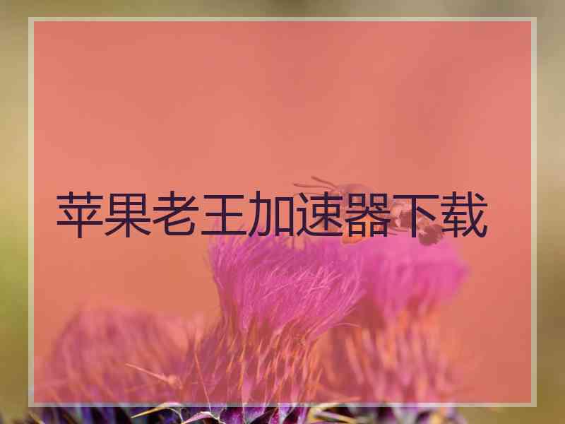 苹果老王加速器下载