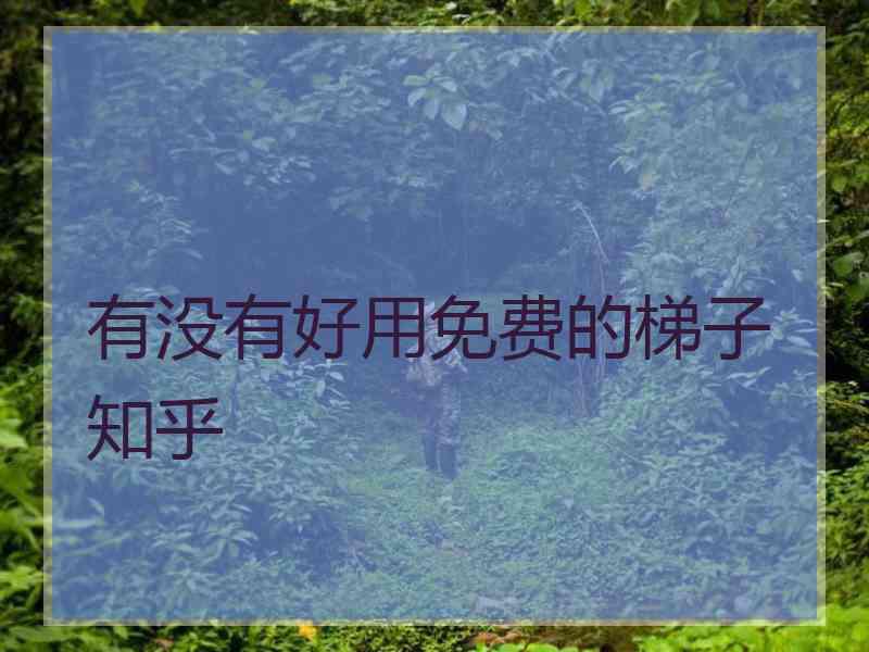有没有好用免费的梯子 知乎