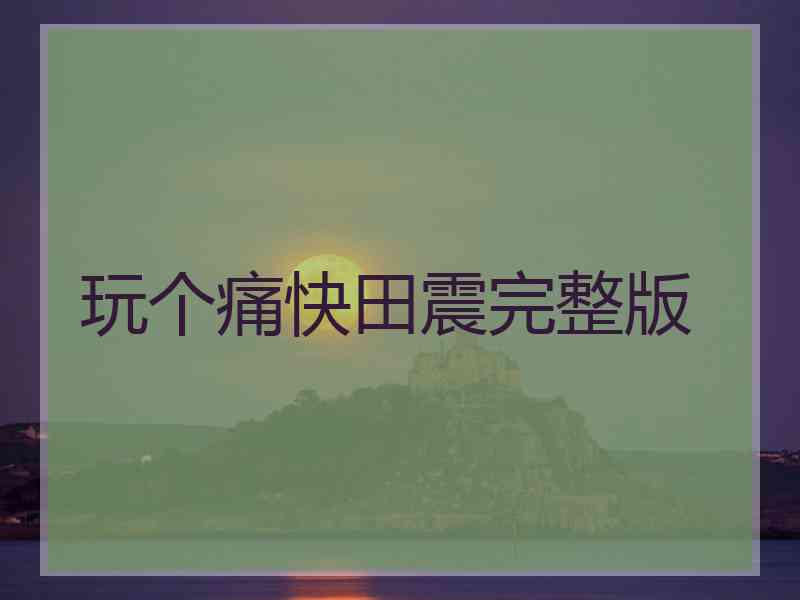 玩个痛快田震完整版