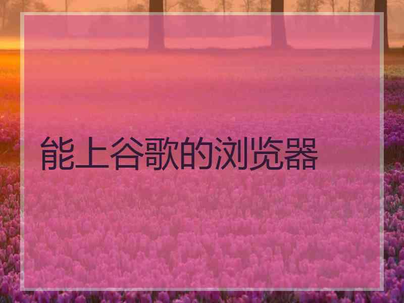 能上谷歌的浏览器