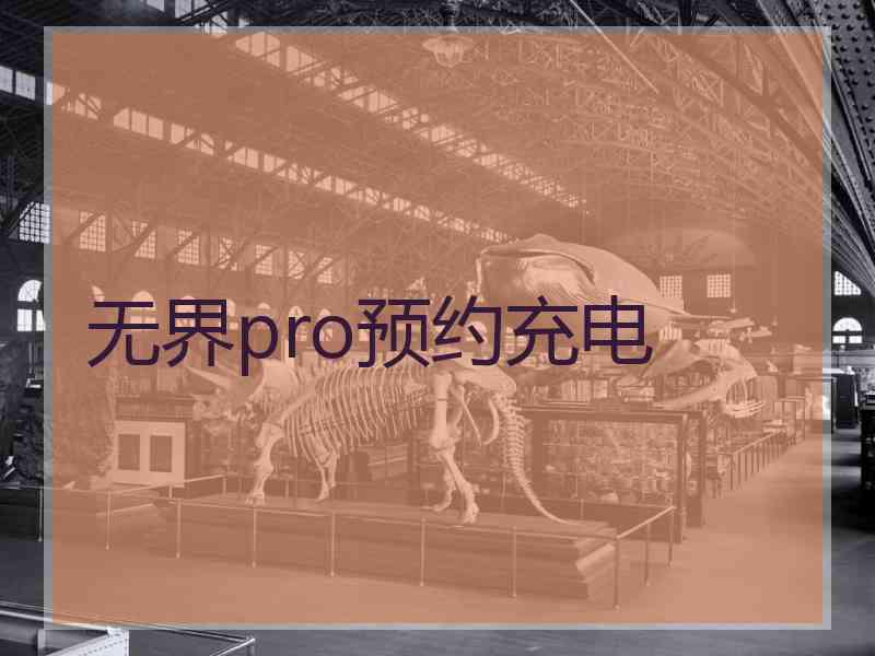 无界pro预约充电