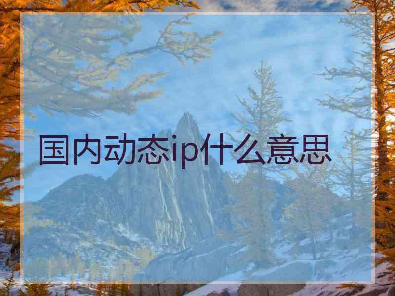 国内动态ip什么意思