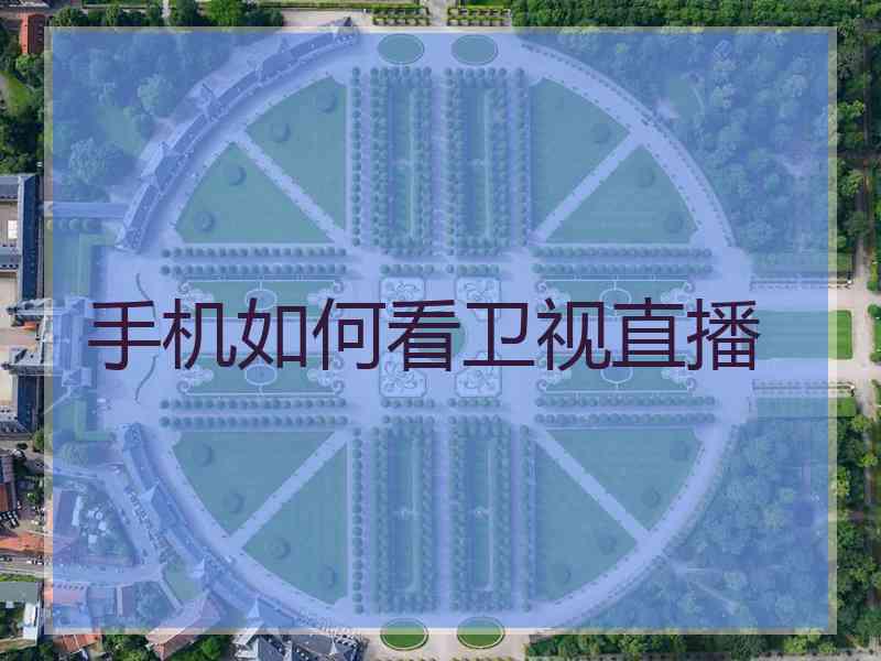 手机如何看卫视直播