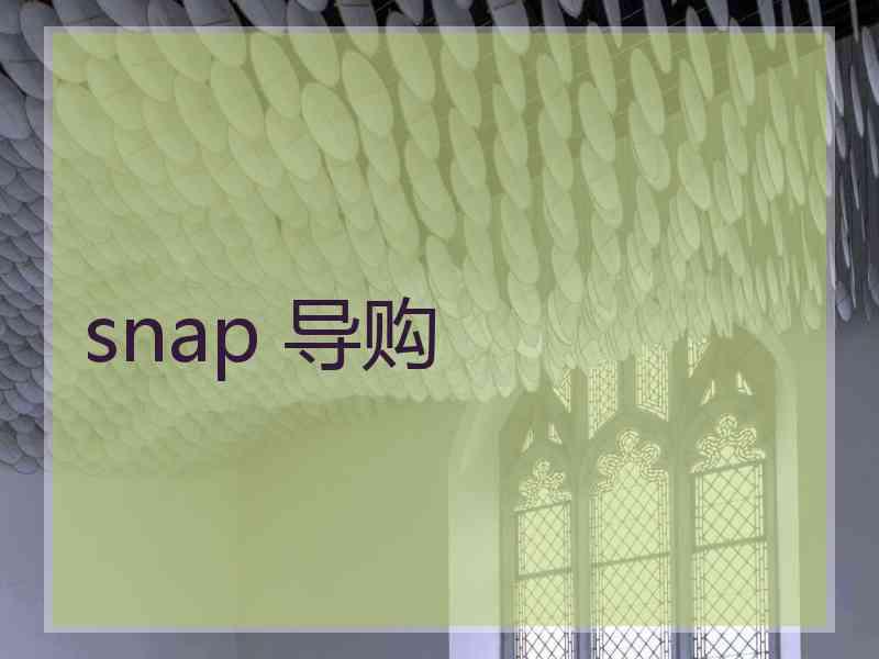 snap 导购