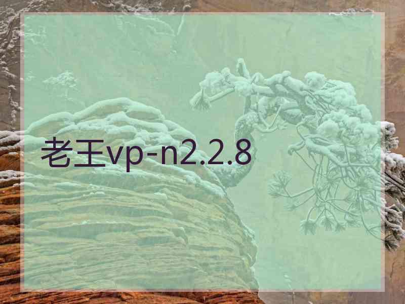 老王vp-n2.2.8