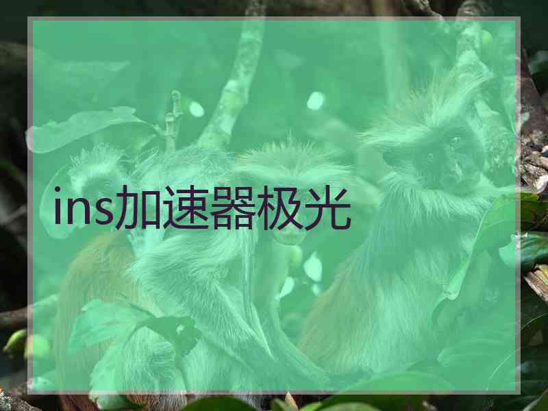 ins加速器极光