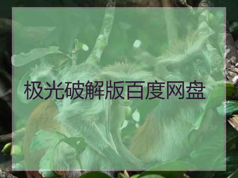 极光破解版百度网盘