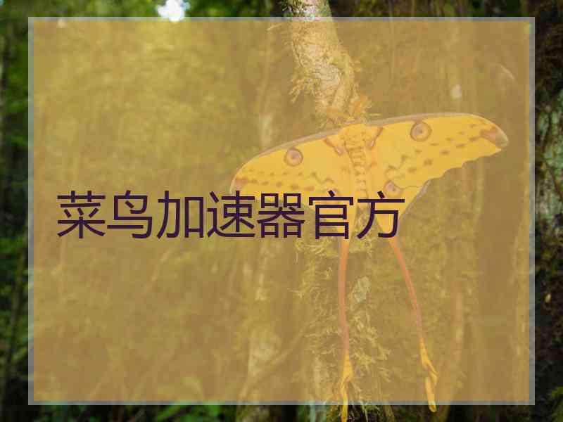 菜鸟加速器官方