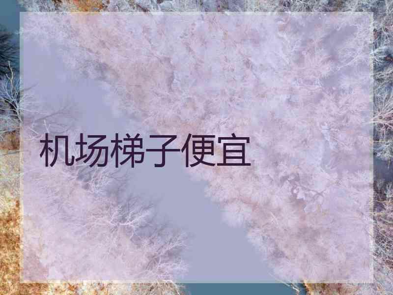 机场梯子便宜