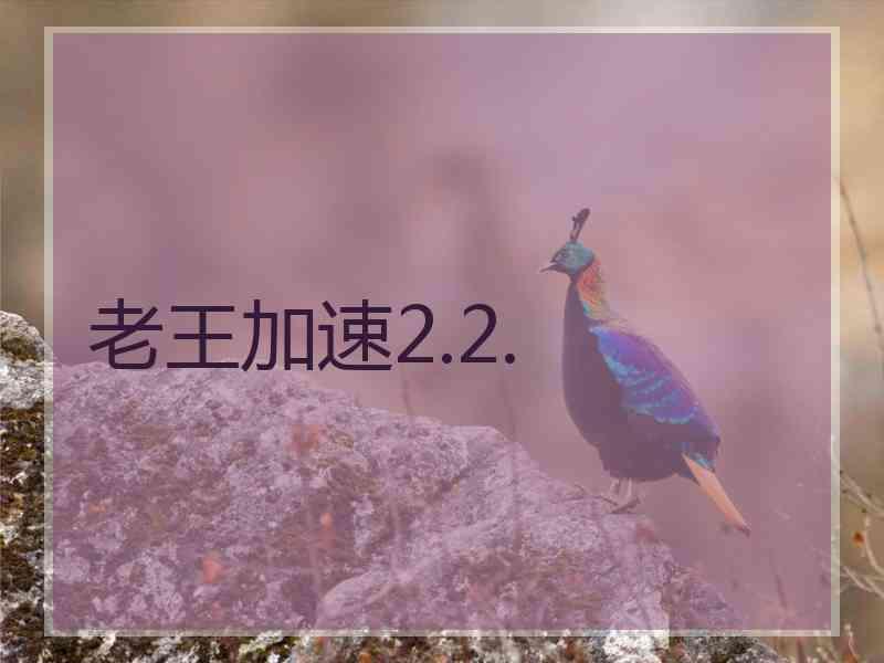 老王加速2.2.
