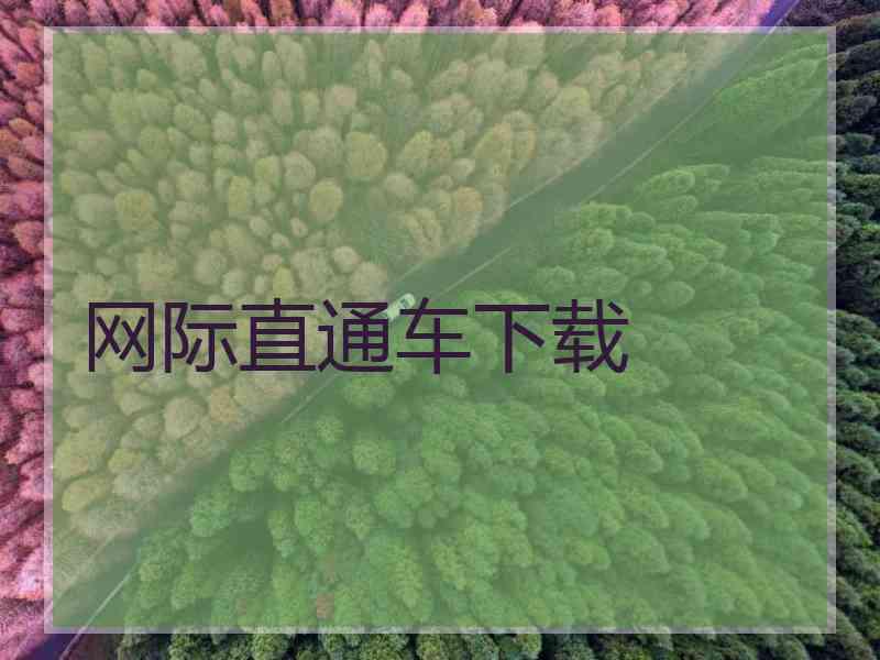 网际直通车下载