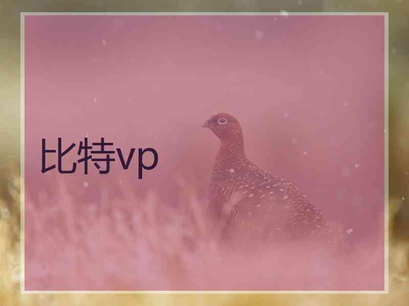 比特vp