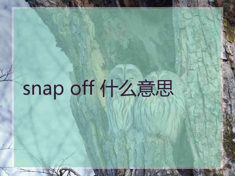 snap off 什么意思