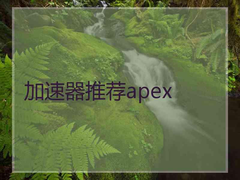 加速器推荐apex