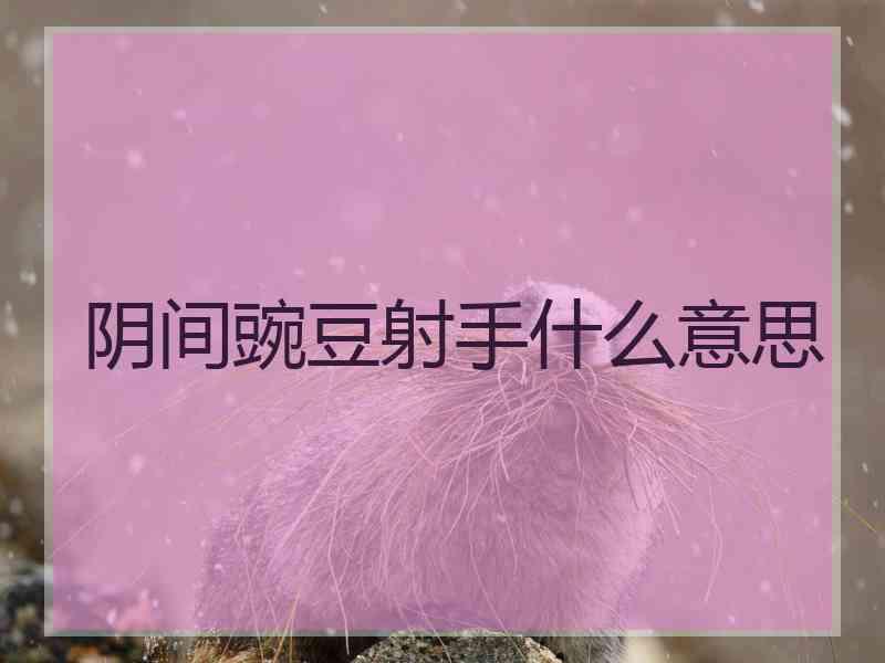 阴间豌豆射手什么意思