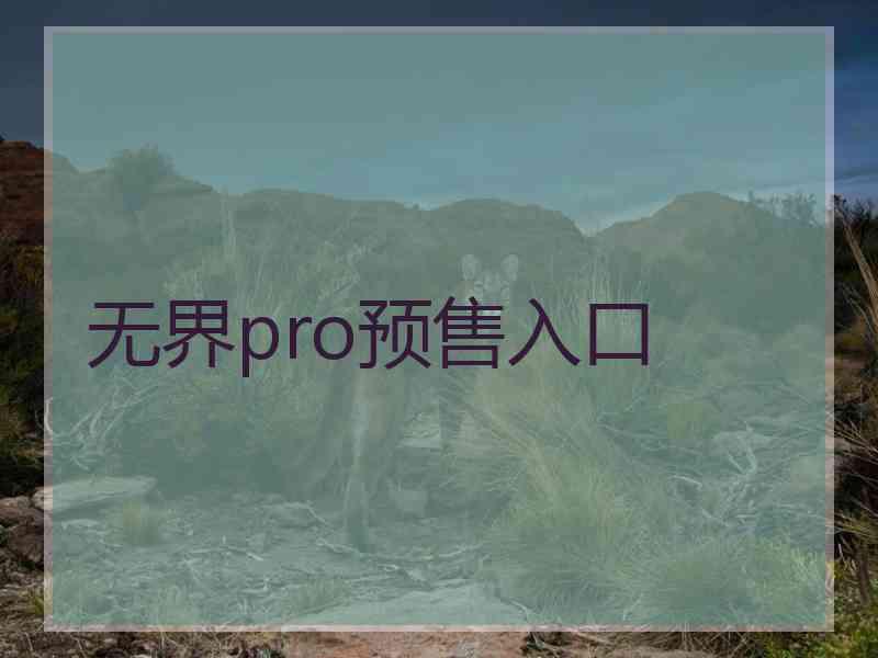 无界pro预售入口