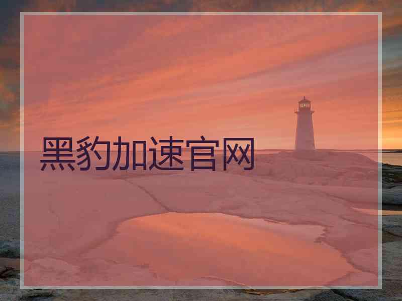 黑豹加速官网