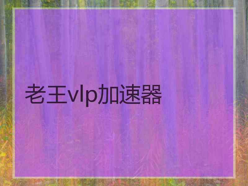 老王vlp加速器