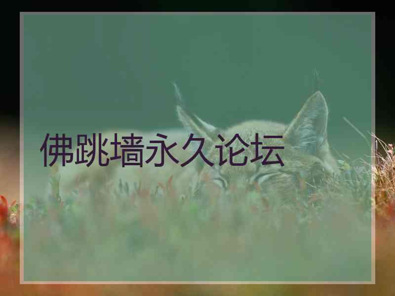 佛跳墙永久论坛