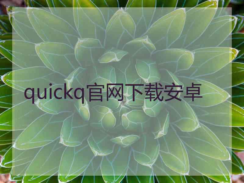 quickq官网下载安卓