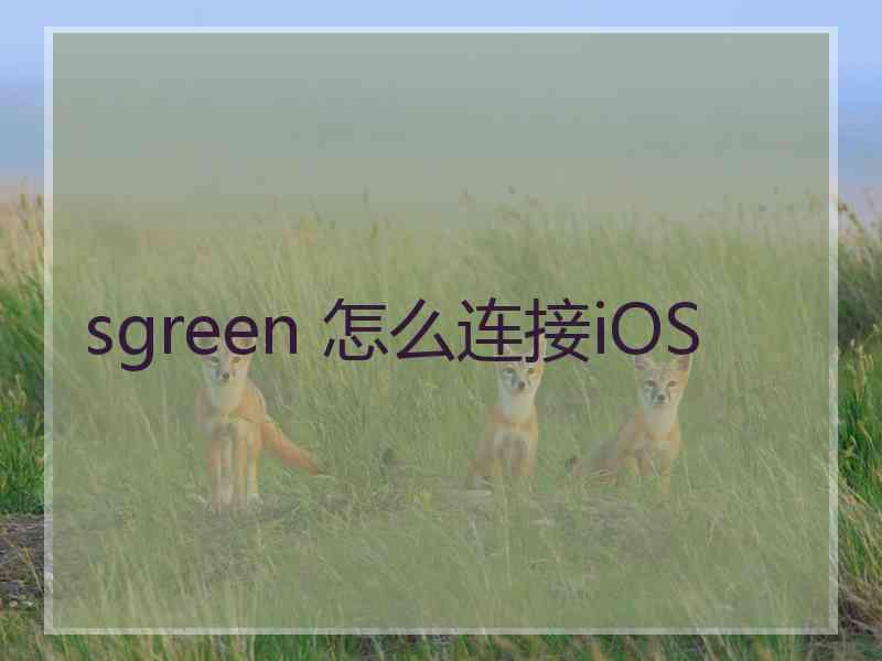 sgreen 怎么连接iOS