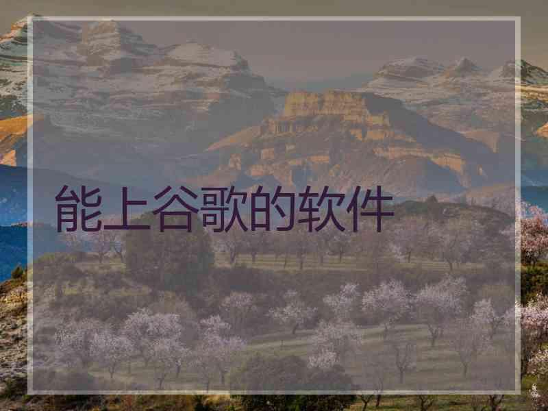 能上谷歌的软件