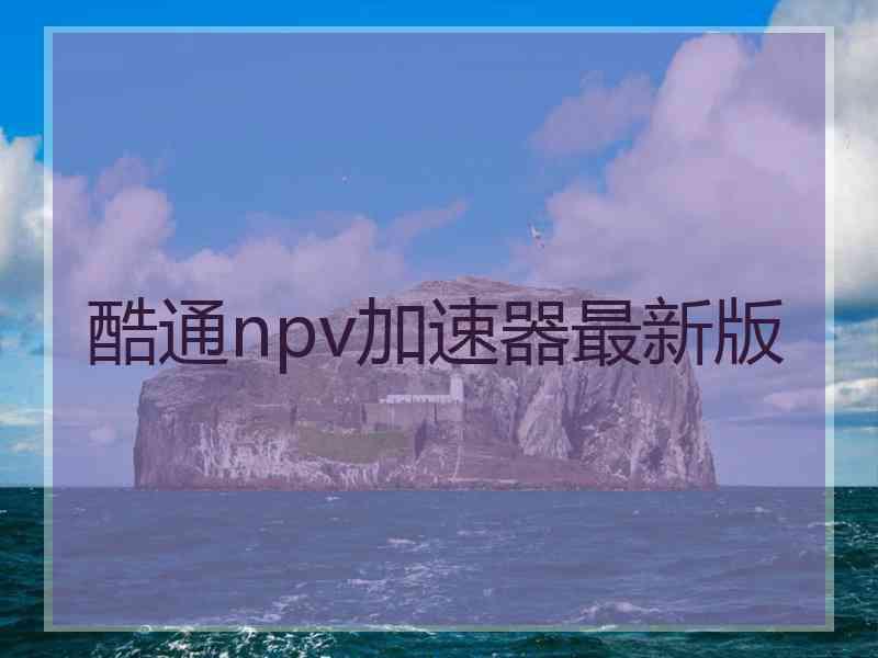 酷通npv加速器最新版