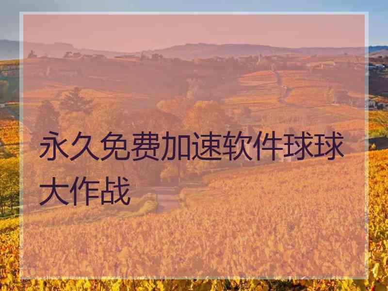 永久免费加速软件球球大作战