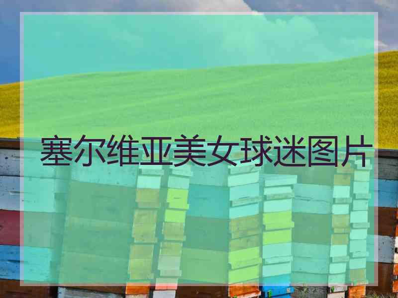 塞尔维亚美女球迷图片