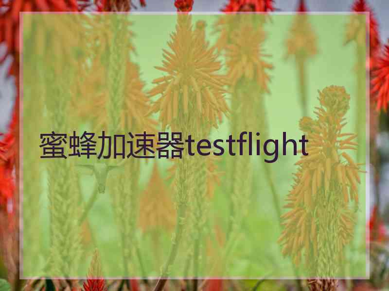 蜜蜂加速器testflight