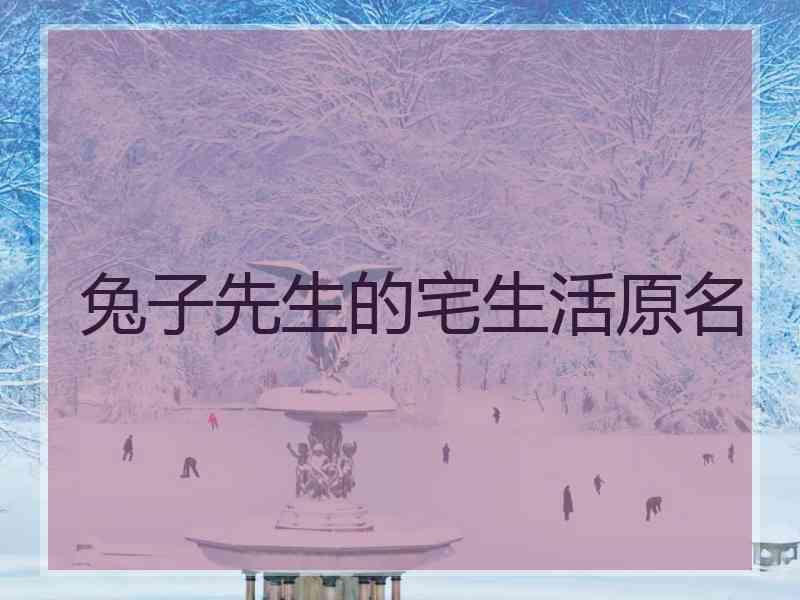 兔子先生的宅生活原名