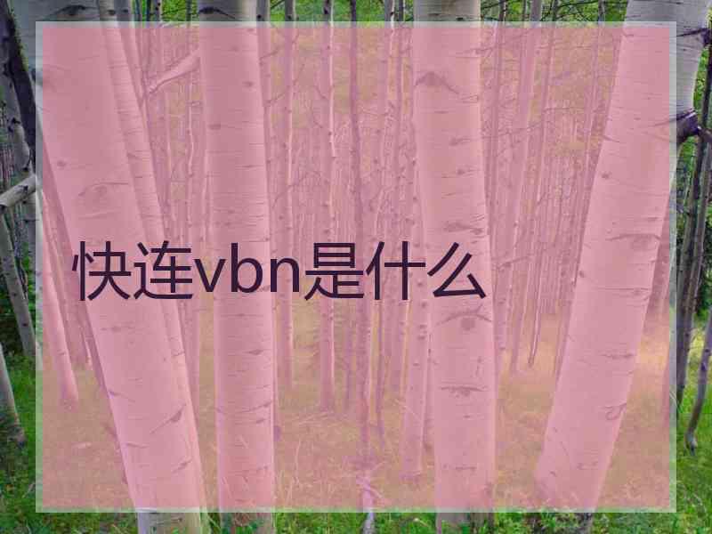 快连vbn是什么