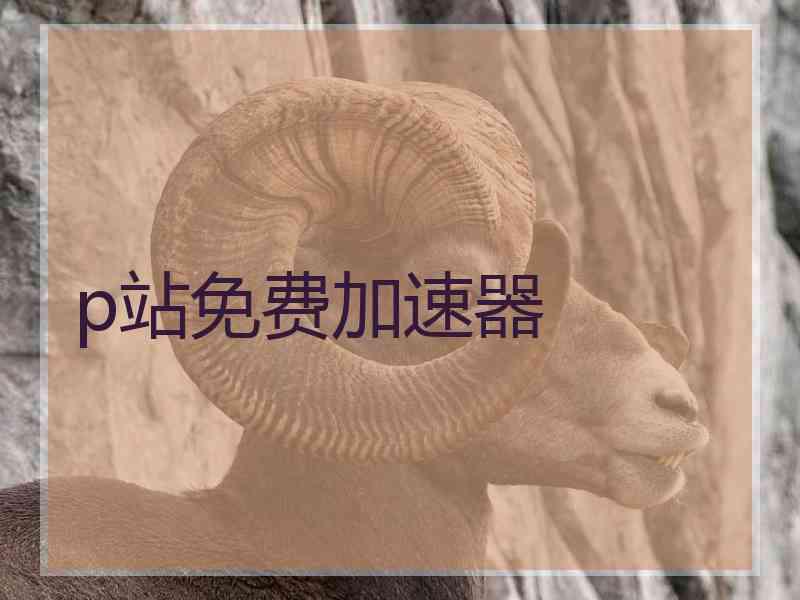 p站免费加速器