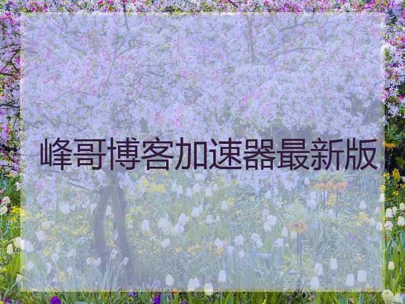 峰哥博客加速器最新版