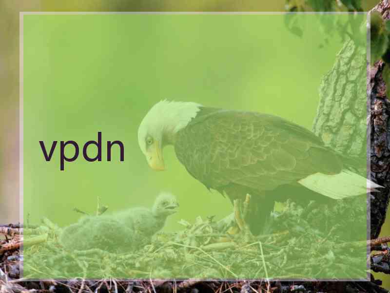 vpdn