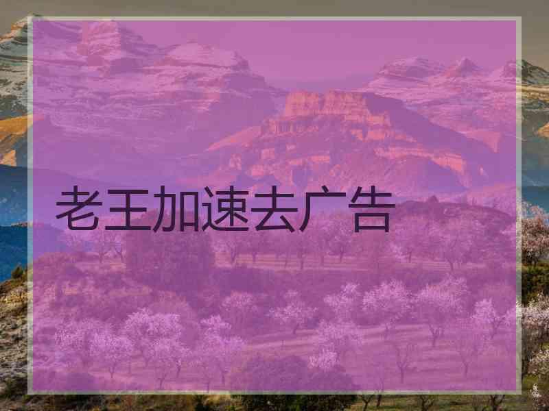 老王加速去广告