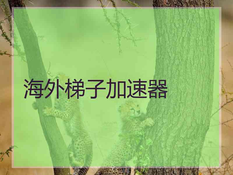 海外梯子加速器