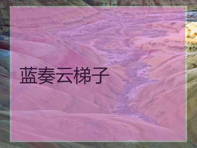蓝奏云梯子