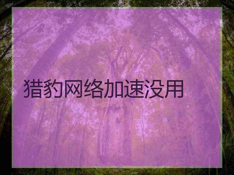 猎豹网络加速没用