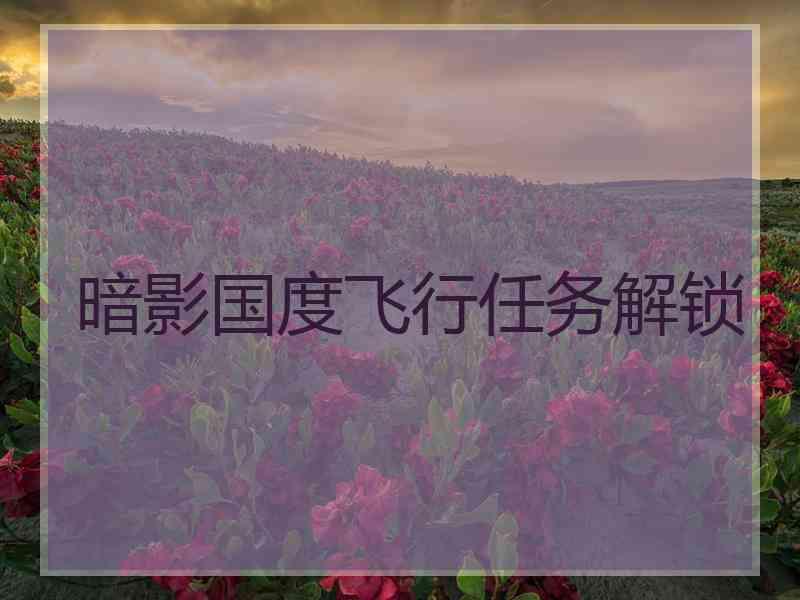 暗影国度飞行任务解锁