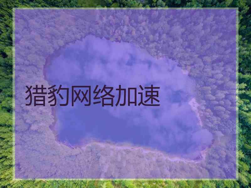 猎豹网络加速