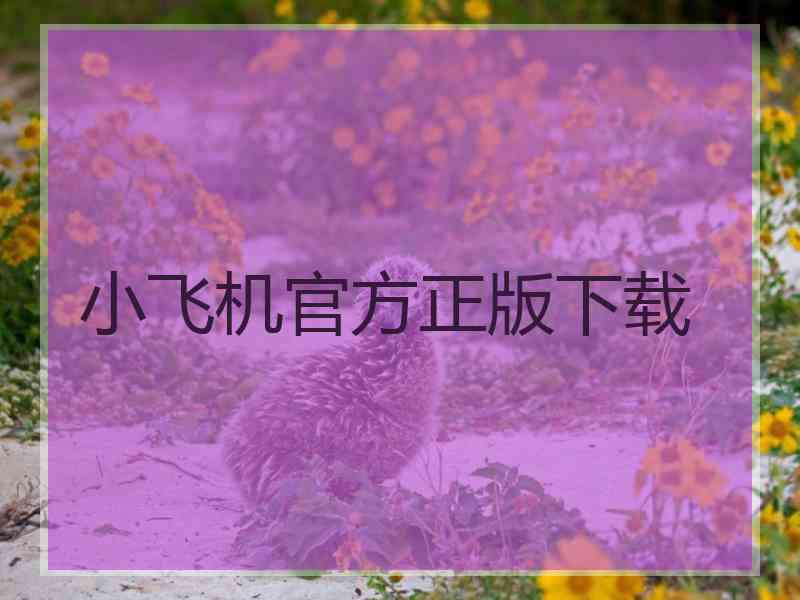 小飞机官方正版下载
