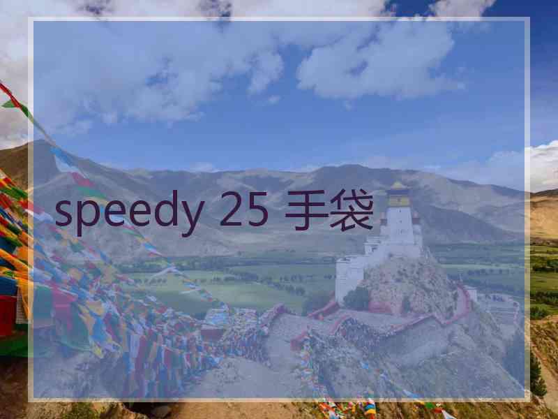 speedy 25 手袋