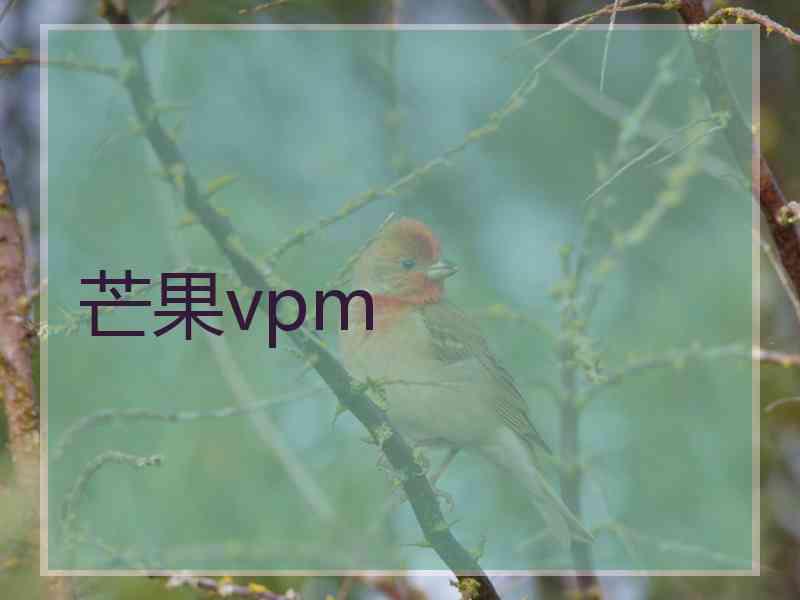 芒果vpm