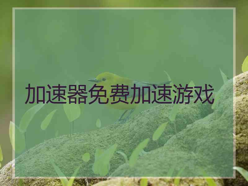 加速器免费加速游戏