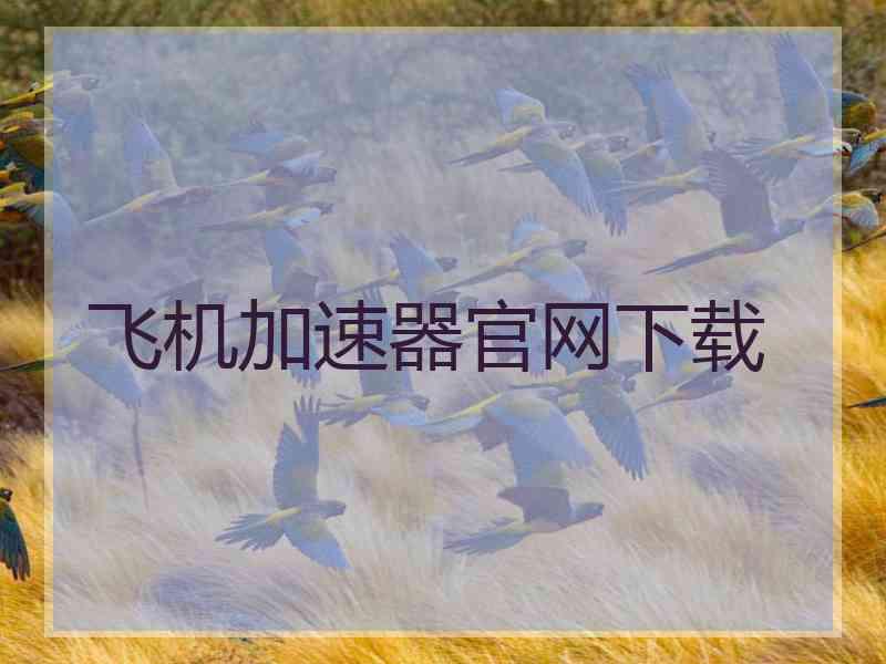 飞机加速器官网下载