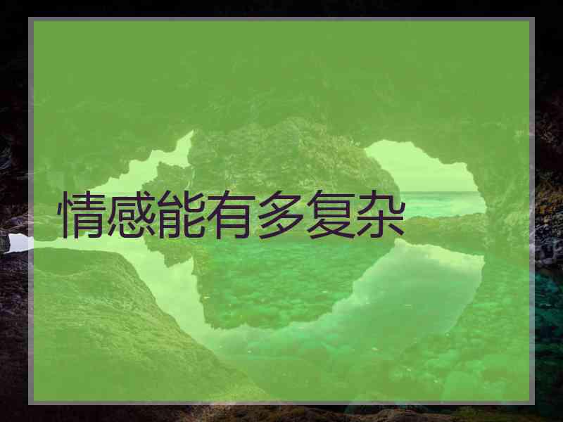 情感能有多复杂