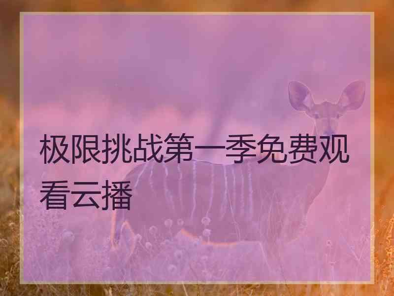 极限挑战第一季免费观看云播