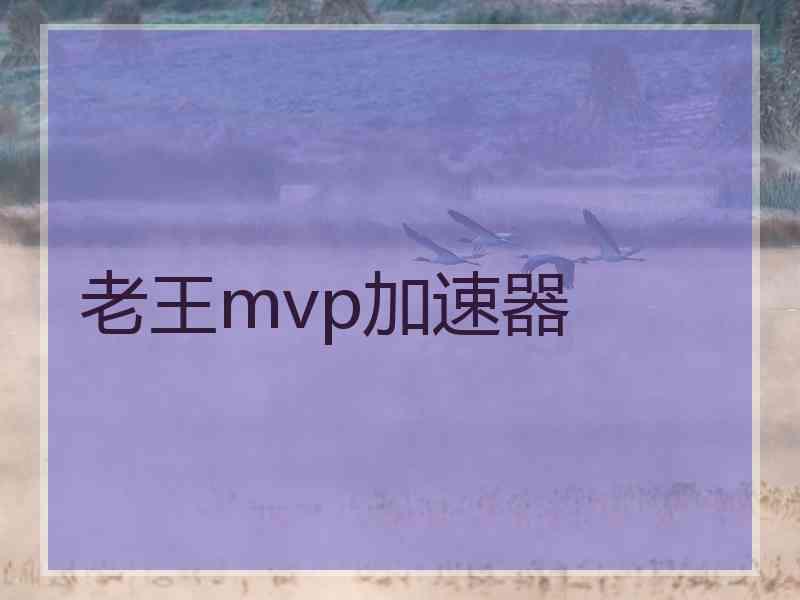 老王mvp加速器