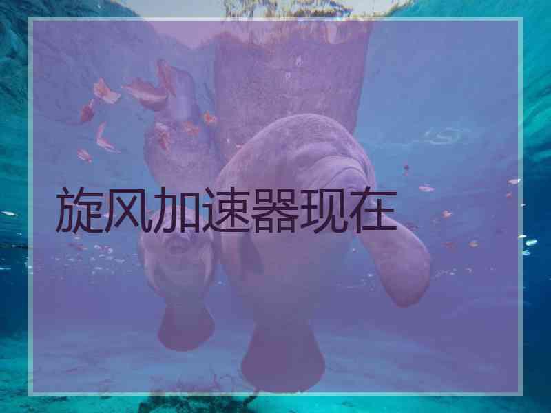旋风加速器现在